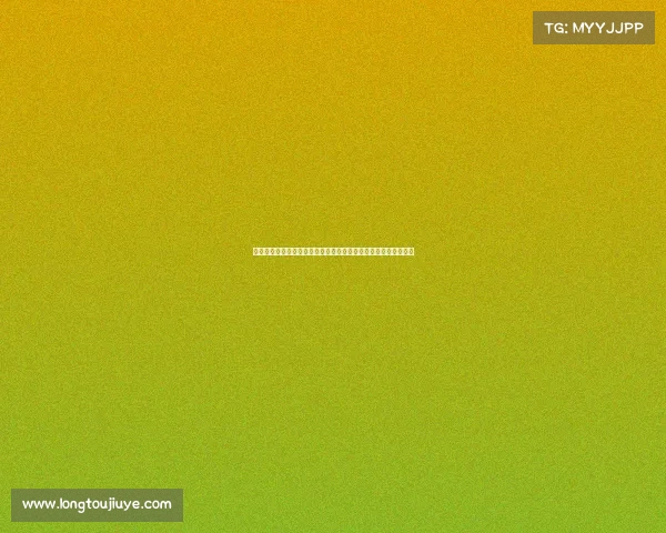 聚焦球队阵容深度剖析与战术布局探讨打造冠军级球队的关键要素